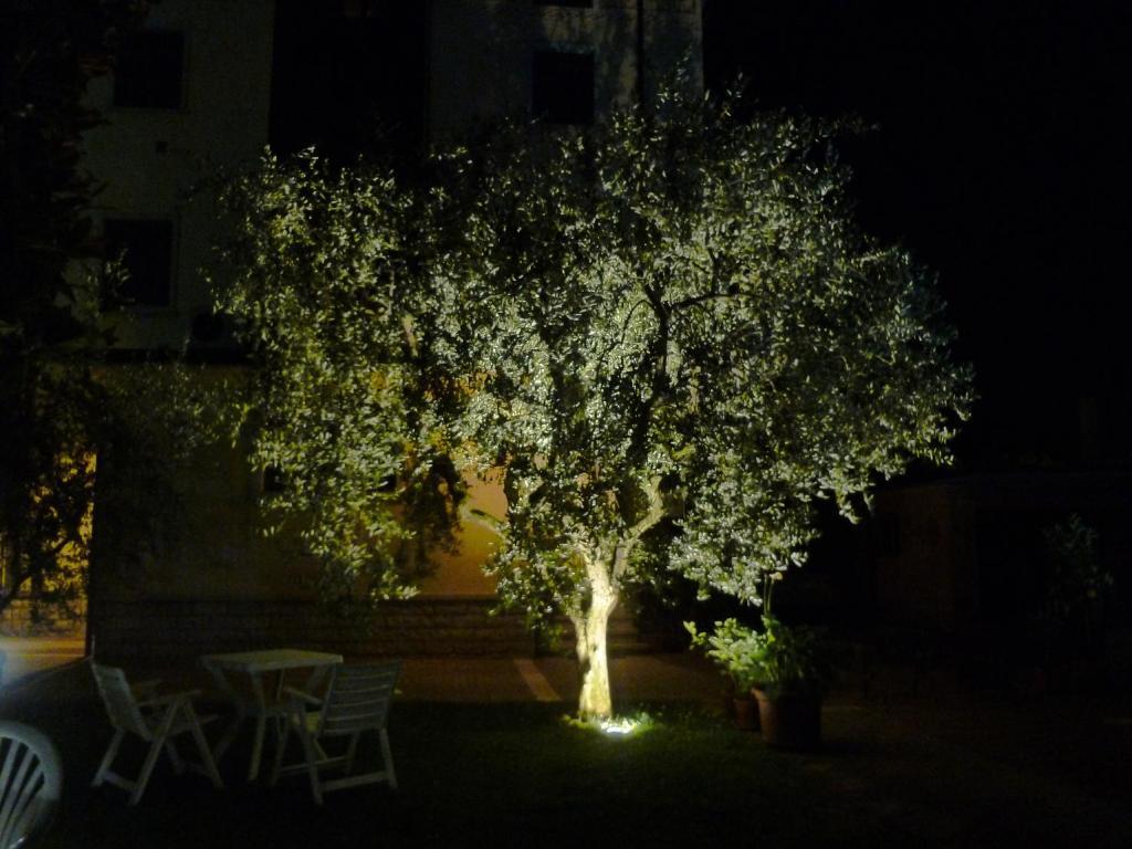 גארדה B&B Villa Dall'Agnola מראה חיצוני תמונה